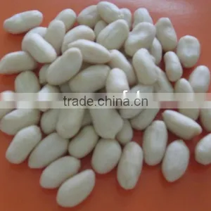 Chinese Wholesale Price Blanched Peanut Kernel thumbnail-2