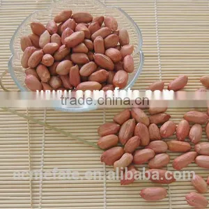 Shandong Long Type Blanched Red Skin Peanut Kernels thumbnail-4