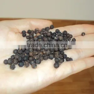 VIETNAM BLACK PEPPER WITH CHEAP PRICE thumbnail-1