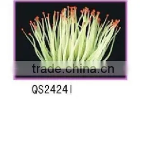 Simulated Coral thumbnail-1