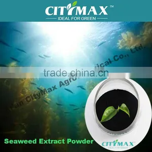 100% Soluble Ascophyllum Seaweed Supplier thumbnail-1