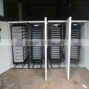 Saving Electric Poultry Egg Incubators Prices for Sale thumbnail-1