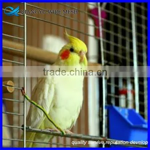 Heavy Gauge Bird Cage Wire Mesh Galvanized Welded Wire Mesh Panel 2x2 thumbnail-1