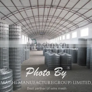 PVC Coated Welded Wire Mesh thumbnail-5