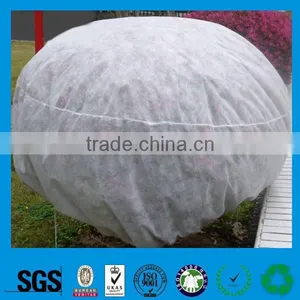 Guangzhou pp Nonwoven Fabric Ground Cover for Agriculture,agricultural Plastic Ground Cover thumbnail-1