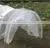 PE Agricultural Plastic Greenhouse Easy Poly Tunnel Film With Wire Frame Construction for Winter Garden thumbnail-6