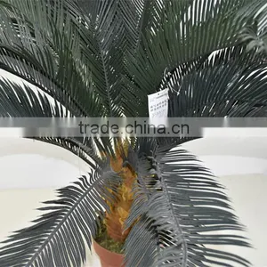 SJ0301115 Artificial Cheap Cycads Plant thumbnail-3