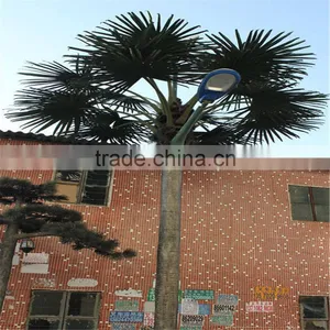 Artificial Fiberglass Coconut Palm Tree With Fireproof for Sale Outdoor Decoration thumbnail-1