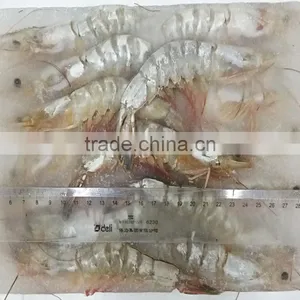 Sea Frozen White Shrimp thumbnail-1