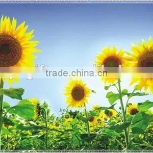 Fashion Decorative Wall Sticker , Kitchen Aluminum Foil Oil Stickers,TV Setting Post thumbnail-4