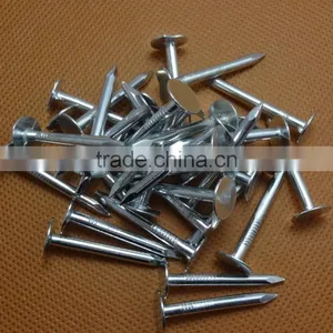 Best Quality Large Head Nails Clout Roofing Nails Flat Head Clout Nails thumbnail-5