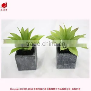 High Quality Wholesale Artificial Mini Succulents,mini Artificial Agave thumbnail-3