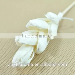 Bamboo Shoot Sola Flower Aroma Diffuser With Reed or Cotton Rope thumbnail-1