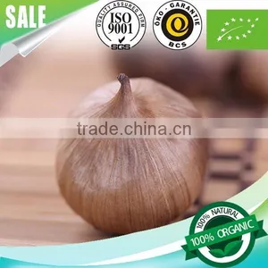2016 Hot Sale Organic Snack Green Food Fermented Black Garlic Single Bulb China thumbnail-5