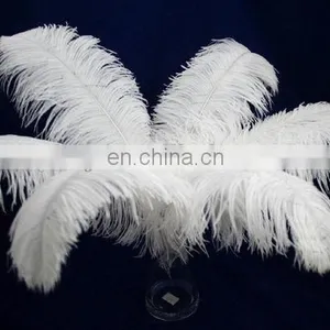 Top Quality White Color Ostrich Feather thumbnail-1