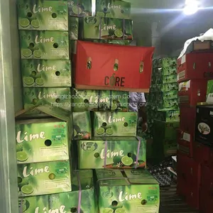 Fruits Cold Room thumbnail-2