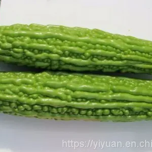 Strong Disease Resistant High Yield Bitter Gourd Seeds for Planting No.75 thumbnail-2