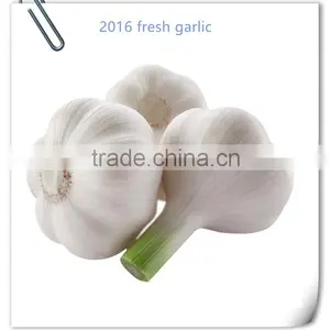 2016 Jinxiang Fresh Garlic thumbnail-1