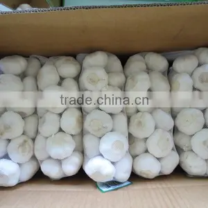 China Factory Price First Grade Pure White Garlic Fresh thumbnail-1