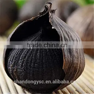 China Garlic Factory Offers Best Natural Black Garlic Price thumbnail-1