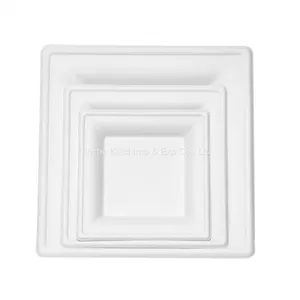 10”Hot Selling Party Restaurant Eco-Friendly Disposable Biodegradable Plates Sugarcane Bagasse Square Plates(500/ Case) thumbnail-2