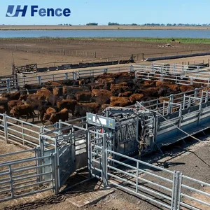 Australia Standard Galvanized Cattle Corral Fence Panels for Farm thumbnail-3