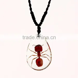 New Wholesale Fashion Lovely Necklace With Real Insect thumbnail-3