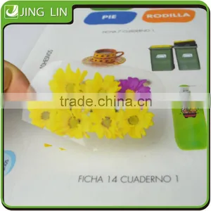 Waterproof Transparent Self Adhesive Sticker Paper, Window Stickers and Decals thumbnail-1