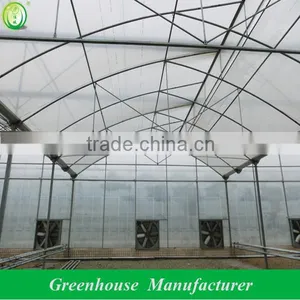 Pep Film Sawtooth Greenhouse thumbnail-1