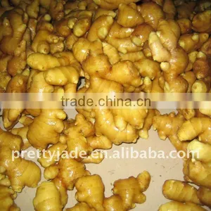 Yellow Color Fresh Ginger thumbnail-1