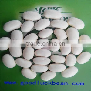 White Kidney Beans(2014 Crop) thumbnail-4