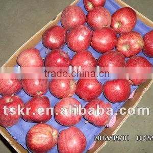 Chinese Fresh Huaniu Apple thumbnail-1