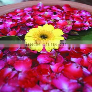 Super Chinese Dried Herbs Fresh Dry Flower Tea Refresh and Women Beauty Bath Tea Dried Rose Petals Flower Tea thumbnail-3