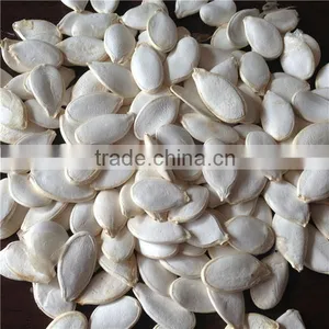 Hotsale Raw Pumpkin Seeds thumbnail-1