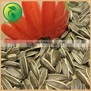 Top Sale Products Sunflower Seeds in China thumbnail-2
