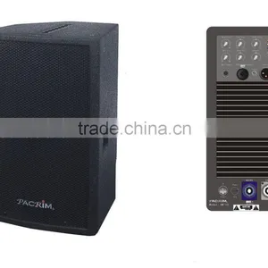 Professional Active Speaker thumbnail-1