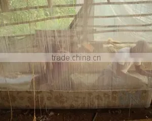 Udai Exports company overview - view 3 thumbnail