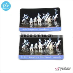 Goodadv Factory Beautiful Flowers Printing Paper Fridge Magnet for Promotion thumbnail-1