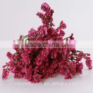 Kunming Flower Exporter Dark Red Statices Flowers for Home Decoration thumbnail-1