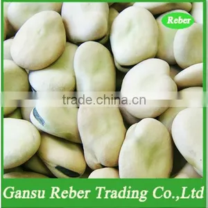 Broad/Fava Beans Qinghai or Gansu Origin thumbnail-1