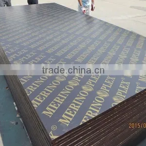 Plywood Film Coated With Brand Name in Vietnam thumbnail-1