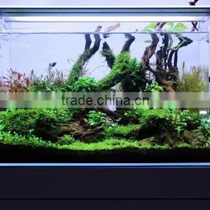 DICI Hot Sale OEM Ultra Glass Aquarium Fish Tank thumbnail-2