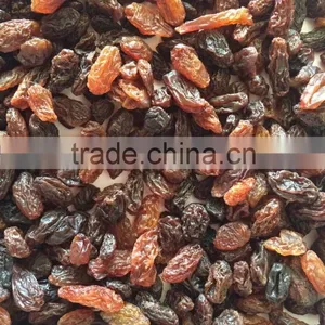 High Quality Dried Brown Sultana Raisin on Sale thumbnail-1