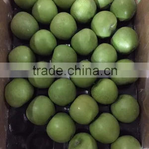 2016 Fresh Granny Smith Apple thumbnail-1