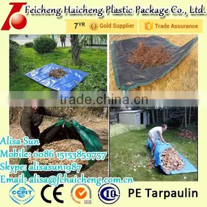 PE Birthday Tarpaulin Design For Covering, PE Tarpaulin Manufactory In Shandong China thumbnail-3