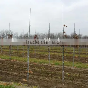 Fiberglass Stick Rod Stake Flexible Fiberglass Rod for Agriculture for Plants Vegetables thumbnail-4