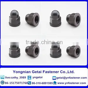 DIN 1587 Hexagon Cap Nuts M3-M24 Galvanized thumbnail-2