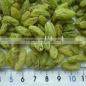 Chinese Green Raisin thumbnail-1