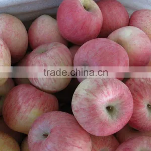 Fuji Apple thumbnail-1