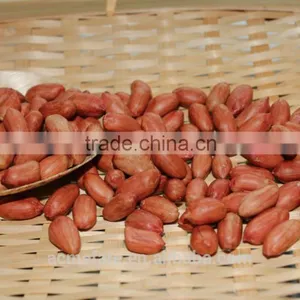 Chinese Long Type Peanut Kernels thumbnail-1